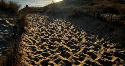 The Beautiful Star in the heart of the Pine Forest