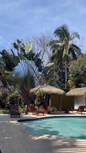 Room | Pool - HOTEL LAS HAMACAS  (Santa Catalina)