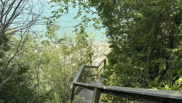 A wooden staircase leading to a beach, surrounded by dense greenery and trees. - Five bedroom home overlooking Lake MI, North of Leland. (Leland)