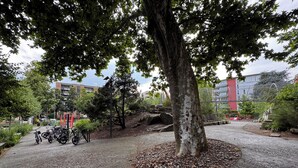 A paved area with a tree, gravel, and a bicycle rack. - Lugano Lakeside: The Nest - your refuge in Castagnola (Lugano)