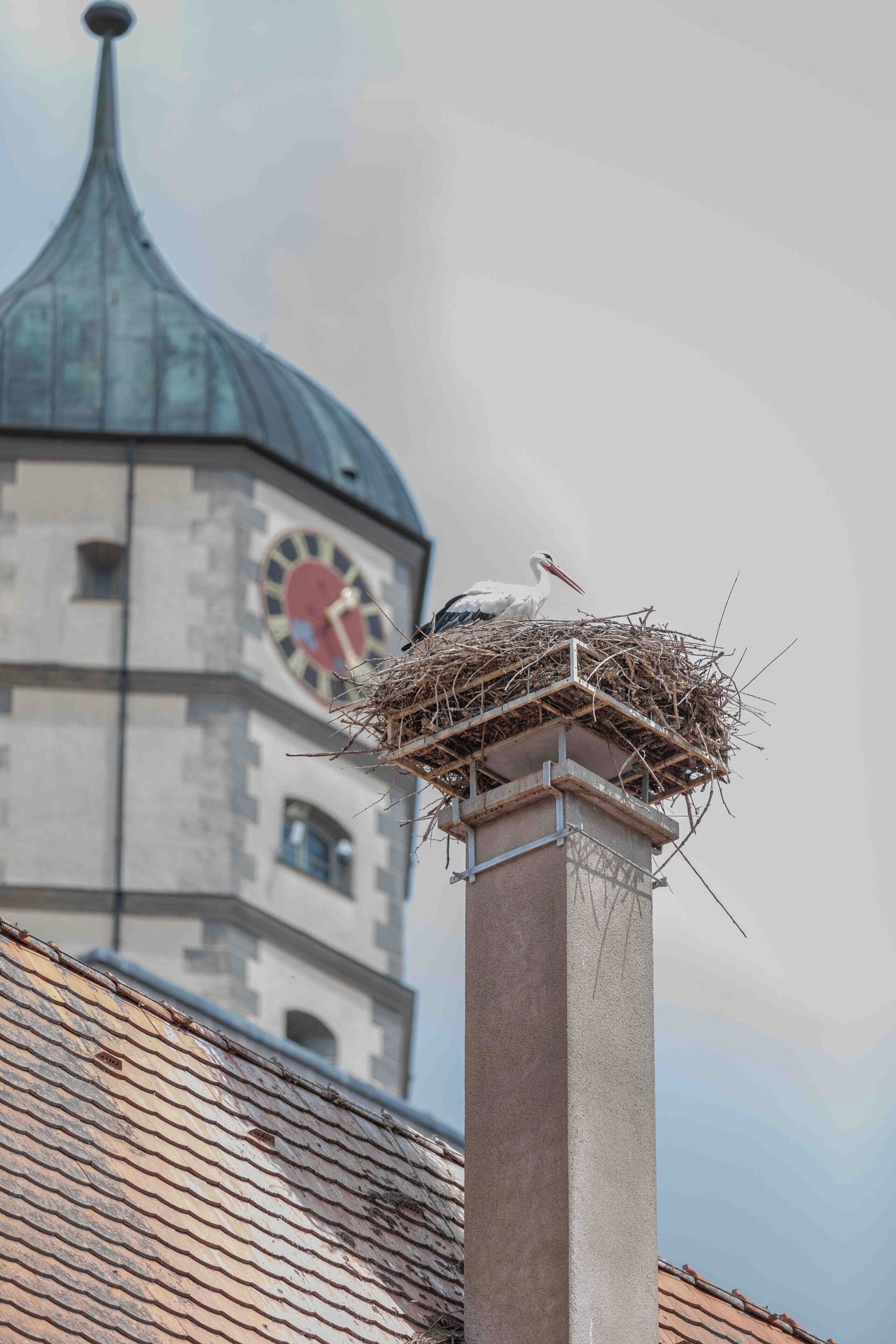 A stork nest on a building's corner with a clock tower in the background.