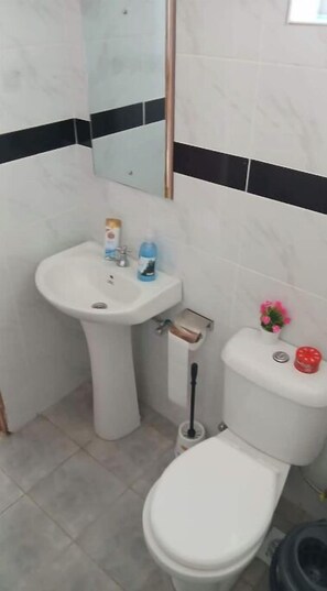 Shower, towels, soap, toilet paper