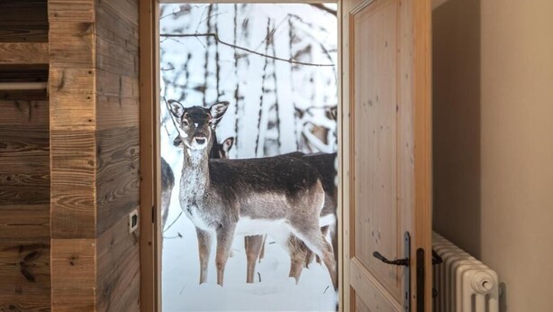 A wooden door leading to a snowy outdoor area with trees. - THE LADY OF THE LAKE (Molveno)