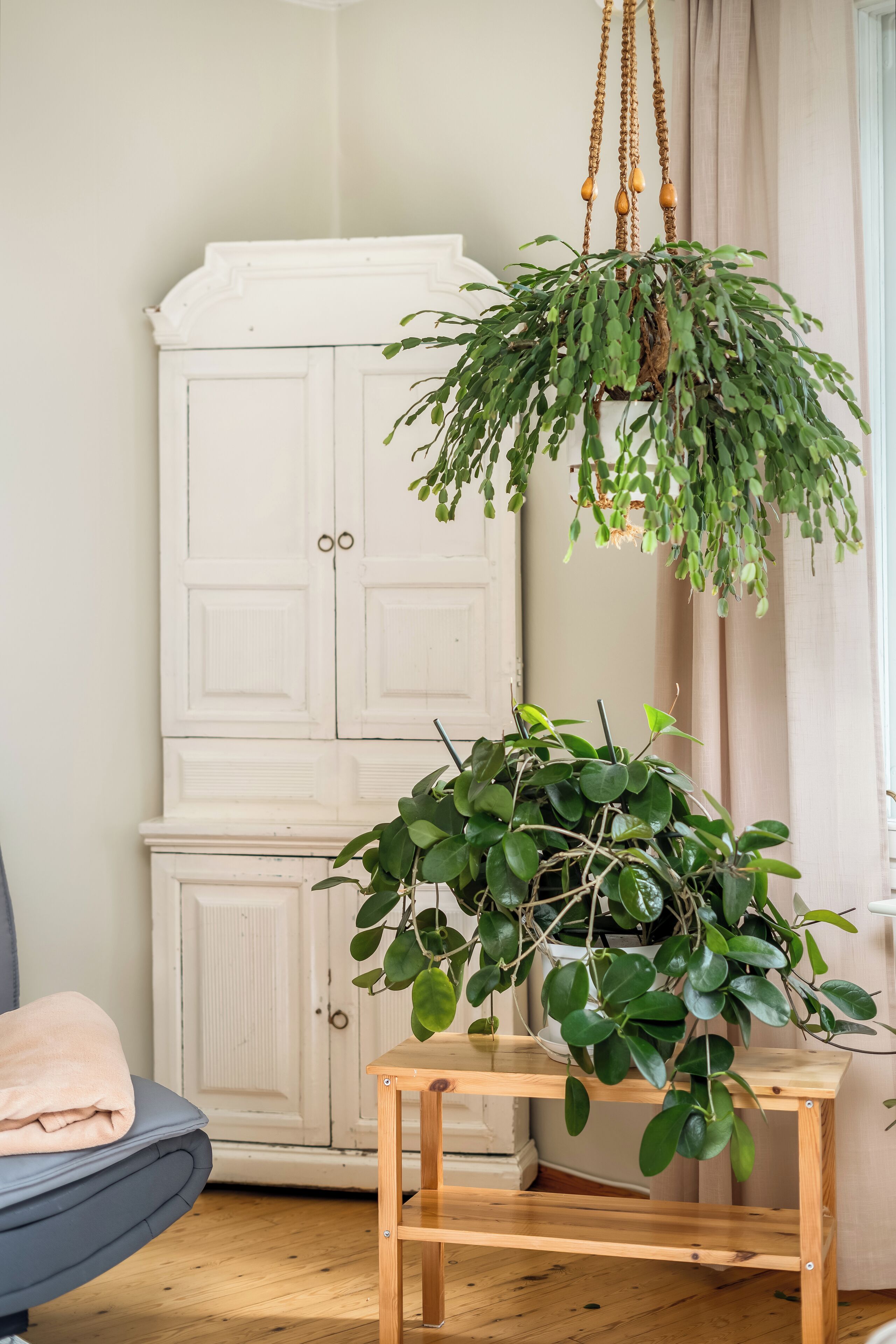 Casa Confort, vista al río, en el área del patio | Área de sala de estar | Televisión de pantalla plana de 40 pulgadas con canales por cable 