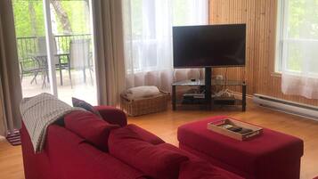 Televisión y chimenea