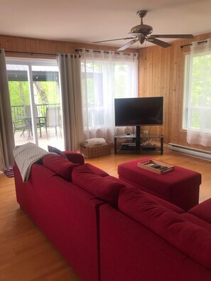 تلفزيون، مدفأة