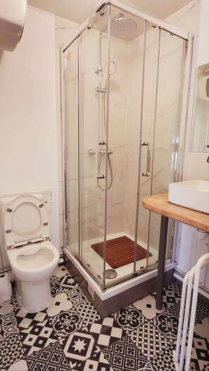 Shower, hair dryer, bidet, towels