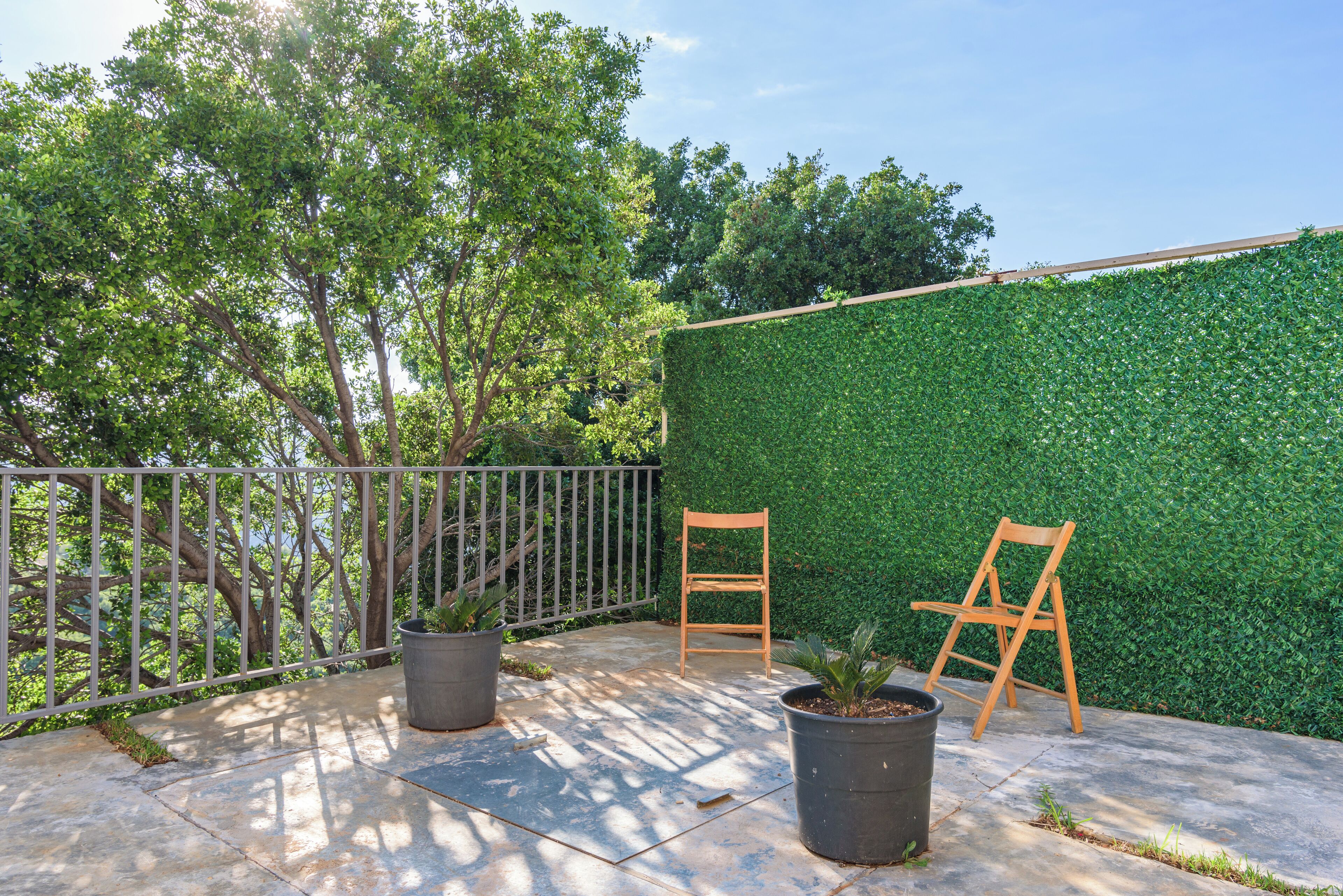 Une terrasse avec deux plantes en pot, une chaise en bois et un mur végétal.