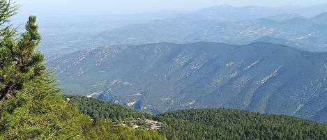 A mountainous landscape with a small settlement nestled among dense forests.