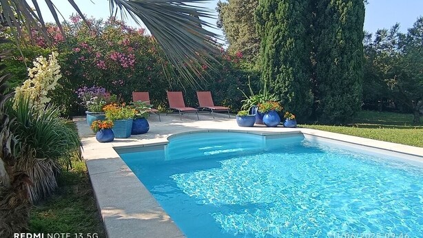 Ein Schwimmbecken mit geschwungener Kante, umgeben von Kübelpflanzen und einem hohen Baum.