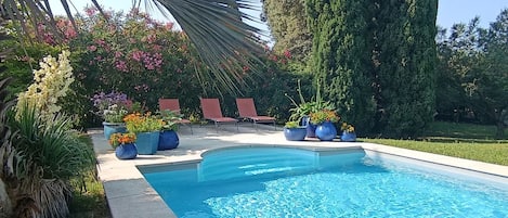Une piscine à bord incurvé, entourée de plantes en pot et d’un grand arbre.