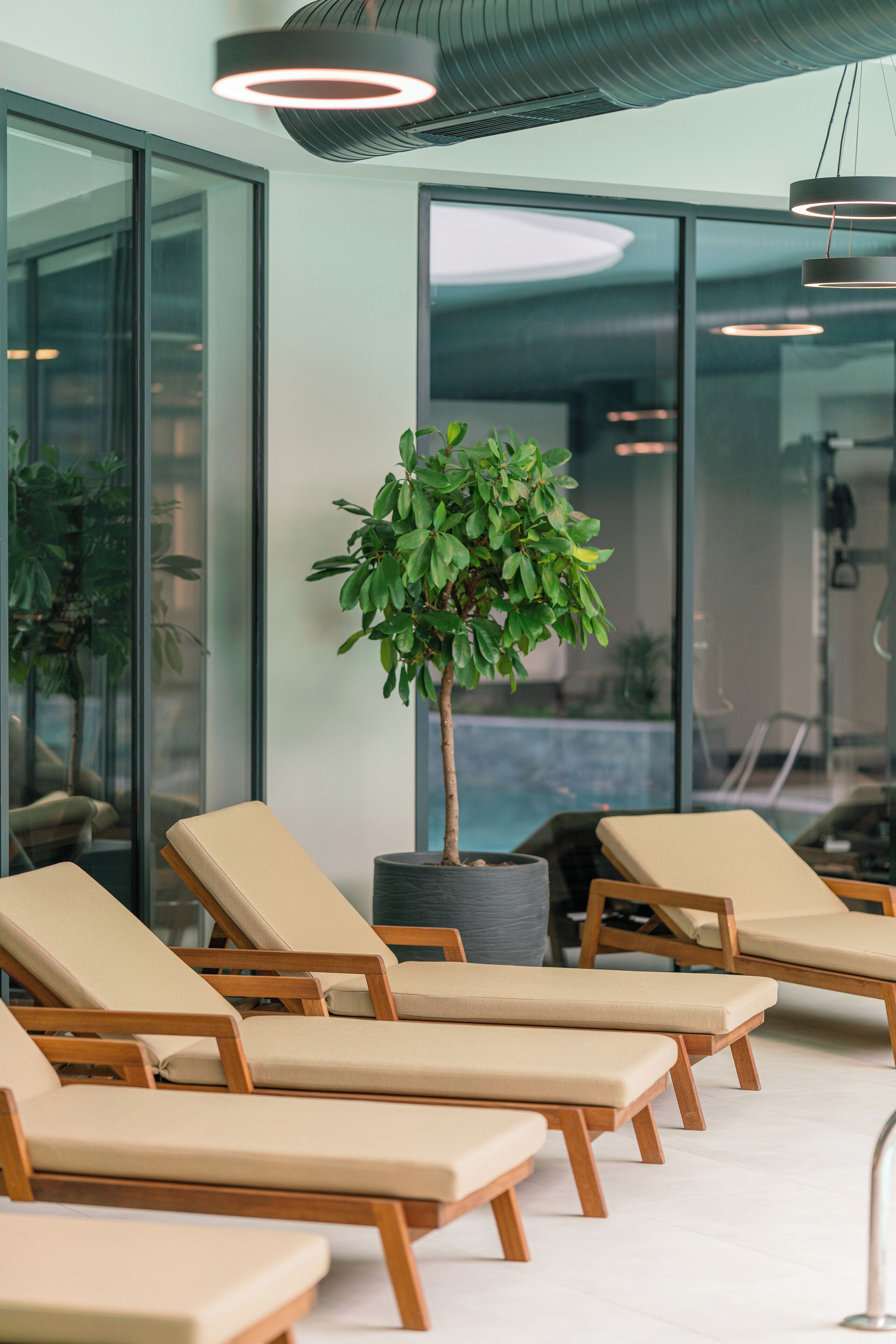 Çiftler için bakım odaları, sauna, jakuzi, buhar odası, hamam 