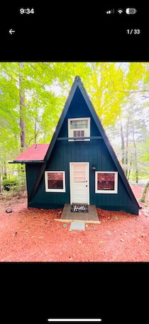 A small, dark blue cabin with a red roof, surrounded by trees.