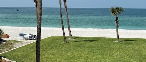 A grassy area with palm trees and a beach in the background.