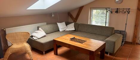 Smart TV, reproductor de DVD, tenis de mesa y libros