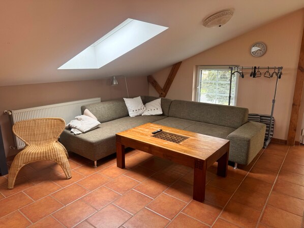 Téléviseur connecté, lecteur de DVD, table de ping-pong, livres