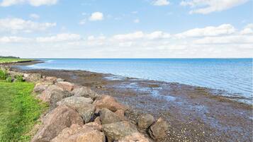 Accommodatie ligt op het strand, strandlakens