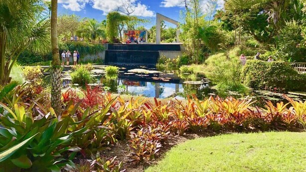 A garden with a pond, palm trees, and a white structure. - Glades Motel (Naples)