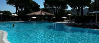 Apartment in luxury residence