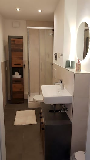 Dusche, Haartrockner, Handtücher