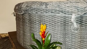 A potted plant, a duck figurine, and a wicker basket on a wooden table.