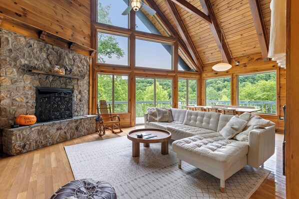 Smart TV, fireplace, books