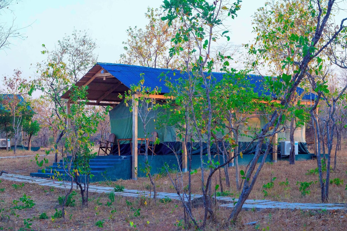 A building with a blue roof, surrounded by trees and a covered outdoor area.