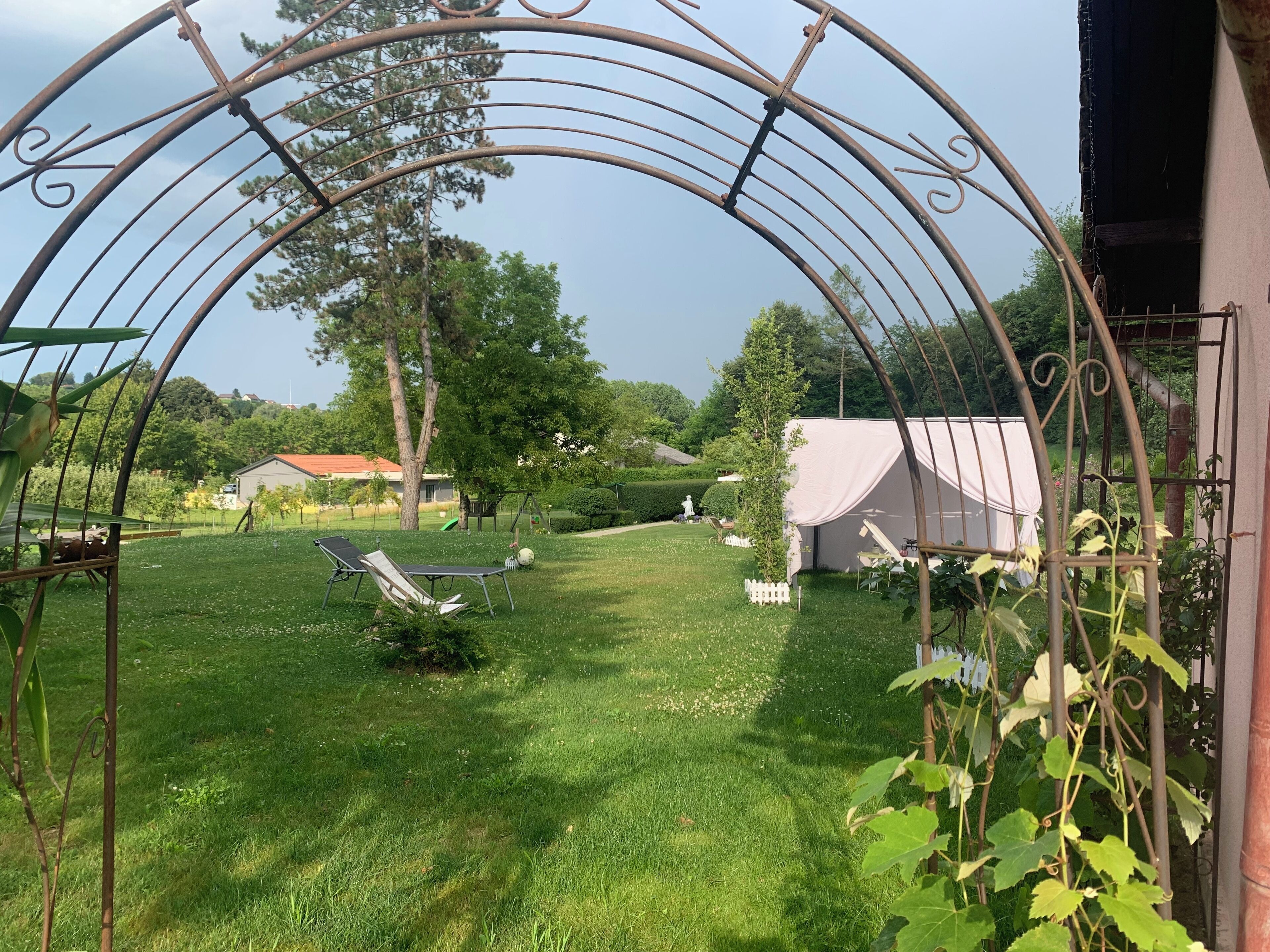 Een tuin met een metalen bogenpoort, een witte tent en een gazon.