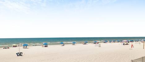 Condo, 1 King Bed with Sofa bed (Sea Glass 216) | Beach | On the beach