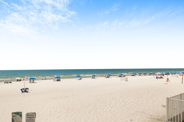 Condo, 1 King Bed with Sofa bed (Sea Glass 216) | Beach | On the beach