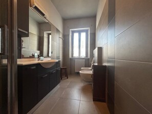 Shower, hair dryer, bidet, towels