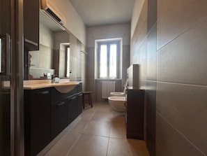 Shower, hair dryer, bidet, towels