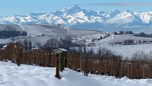 Paisaje nevado con montañas al fondo, un viñedo y un edificio pequeño.