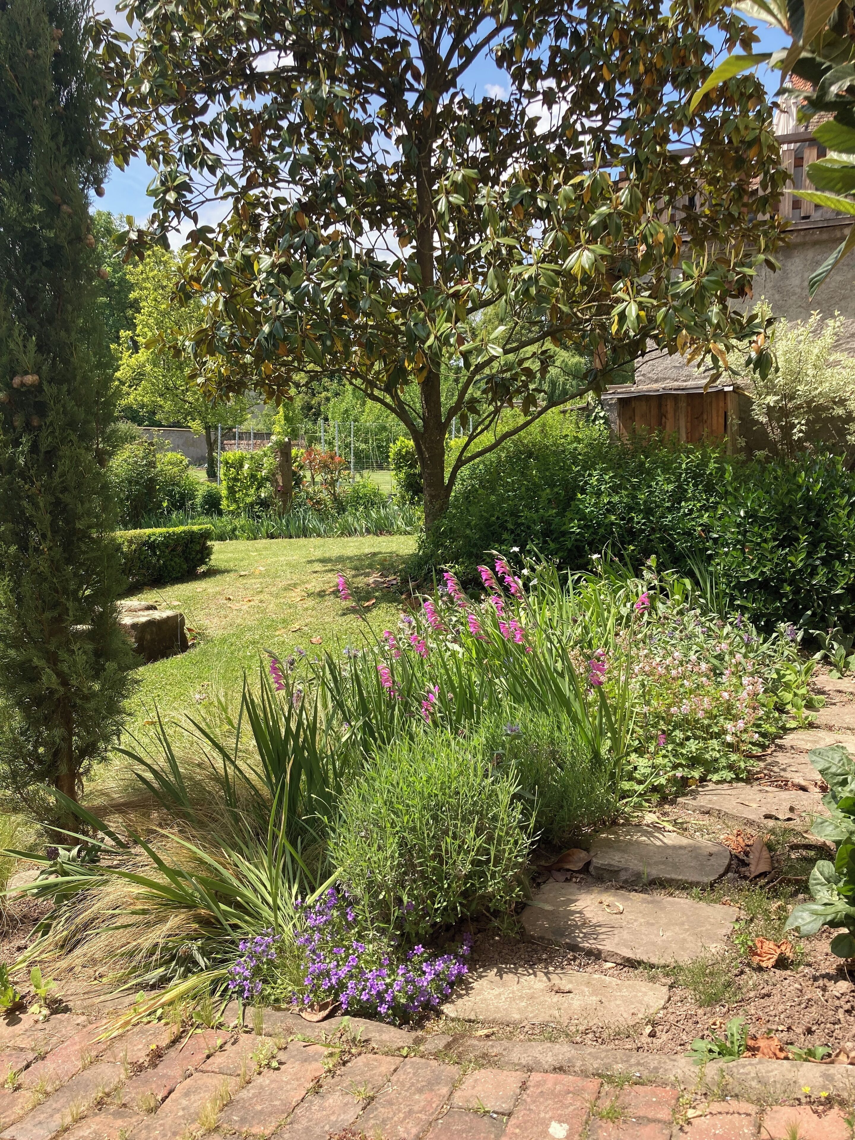 A garden with a variety of plants and flowers, a wooden structure, and a paved walkway.