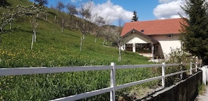 Property grounds - Villa Icarus Sarajevo (Sarajevo)