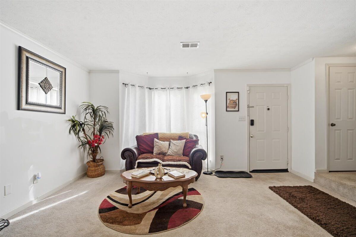 TV, fireplace, books