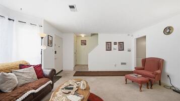 TV, fireplace, books