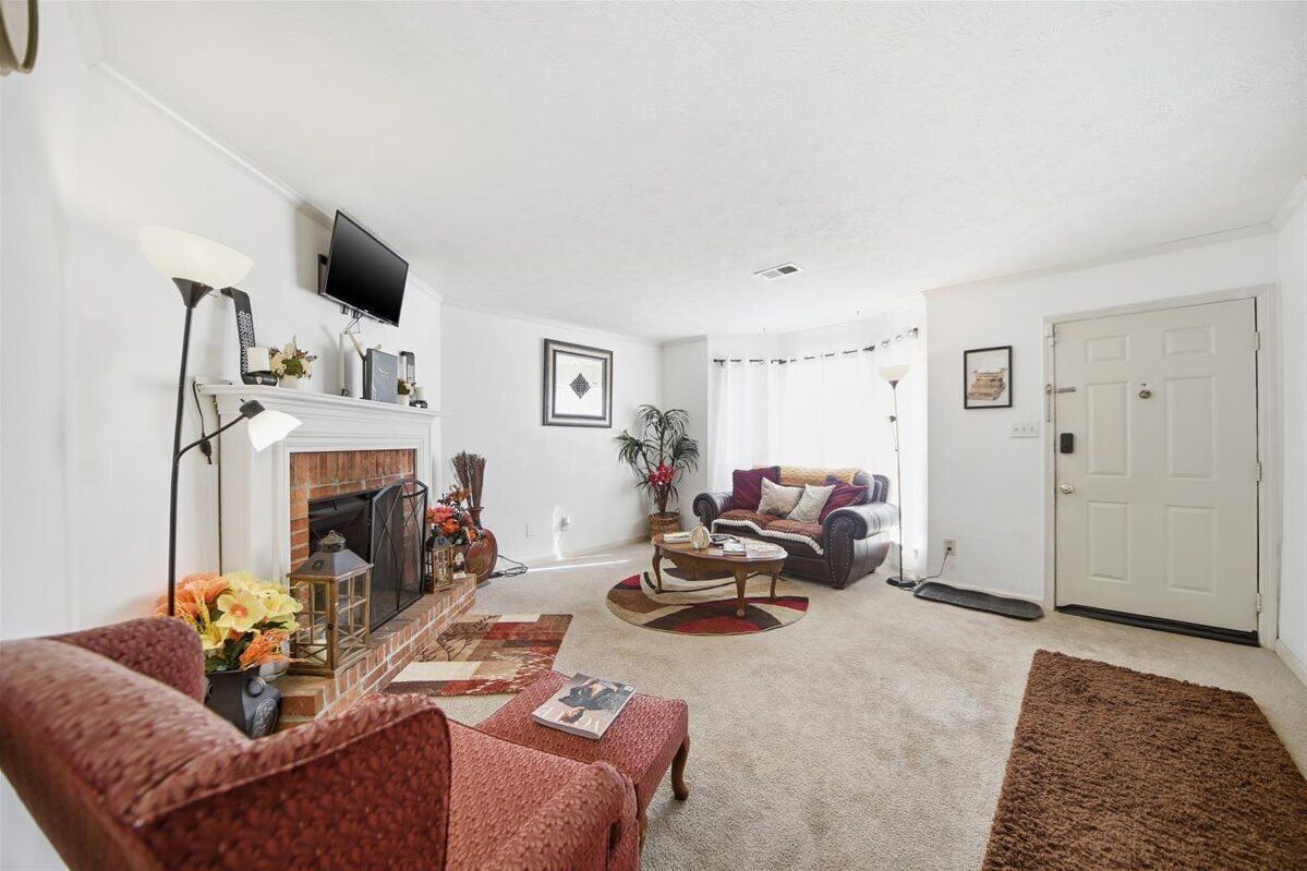 TV, fireplace, books