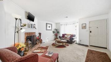 TV, fireplace, books