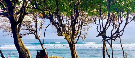 بالقرب من الشاطئ، رمال بيضاء، مناشف للشاطئ