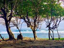 Perto da praia, areia branca, toalhas de praia 