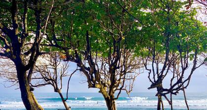 La Curadina Encuentro Surf Resort