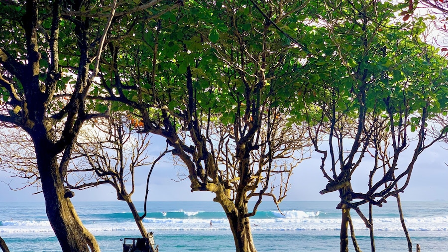 La Curadina Encuentro Surf Resort