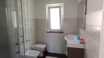 Shower, hair dryer, bidet, towels