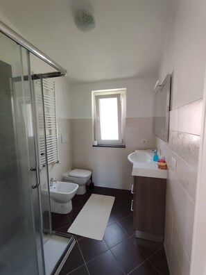 Shower, hair dryer, bidet, towels