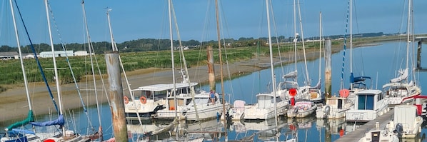 Marina