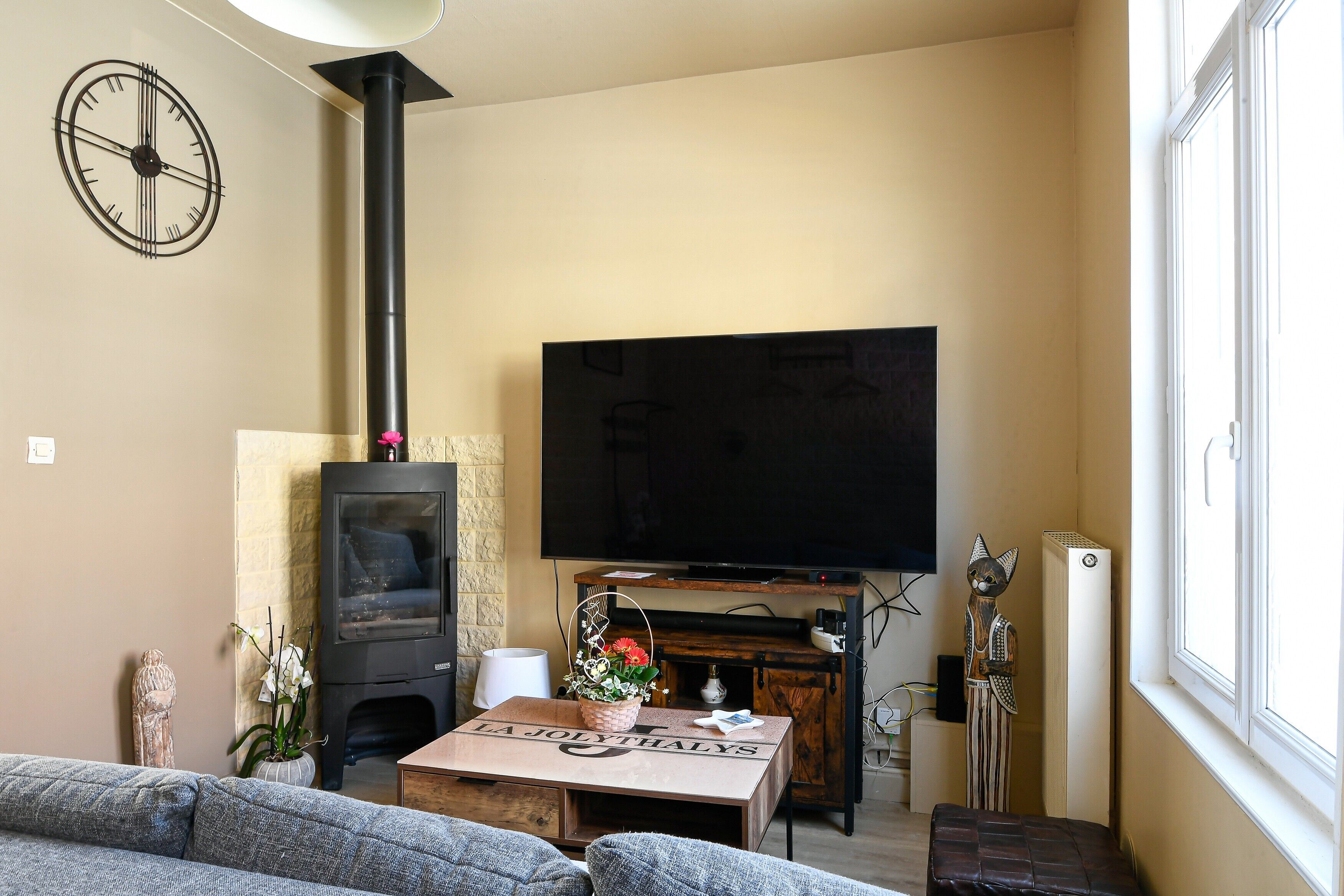 TV