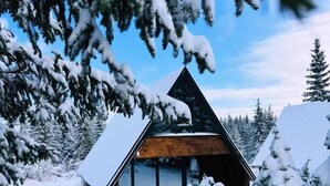 Une cabane dotée d’un toit triangulaire, entourée d’arbres couverts de neige.