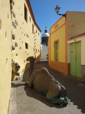 Property grounds - Your favorite spot, in Villa de Agüimes (Agüimes)