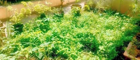 المنطقة المحيطة بالمنشأة